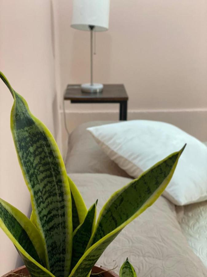 La Estancia Ideal Apartamentos La Fortuna 外观 照片